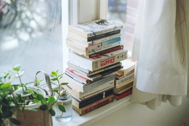 pile of books 